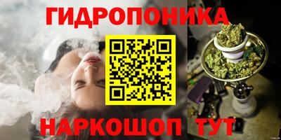 ГАЛЛЮЦИНОГЕННЫЕ ГРИБЫ Нальчик