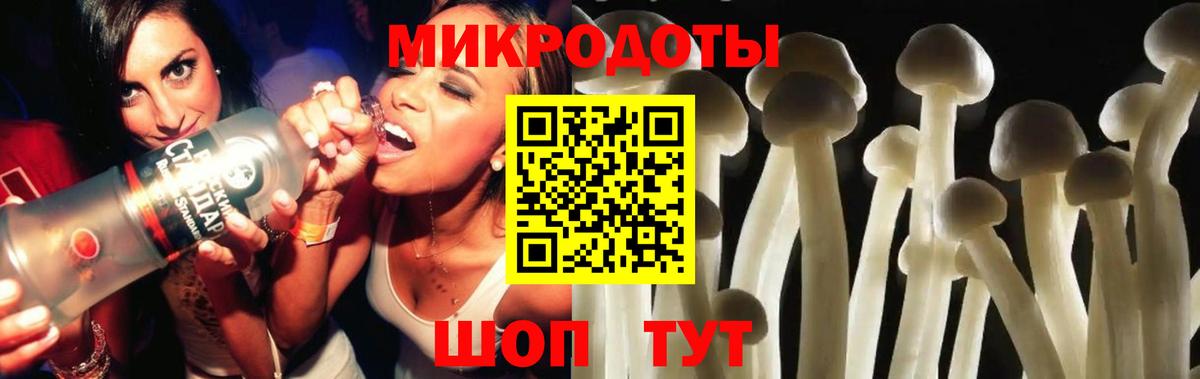 Псилоцибиновые грибы GOLDEN TEACHER  Галлюциногенные грибы прущие грибы  Волгоград  Вход с VPN 